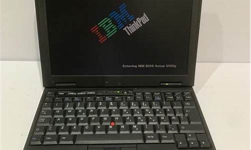 ibm x22_